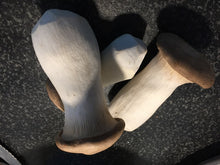 Load image into Gallery viewer, King Trumpet Mushroom Suprême, Piquant, 200g