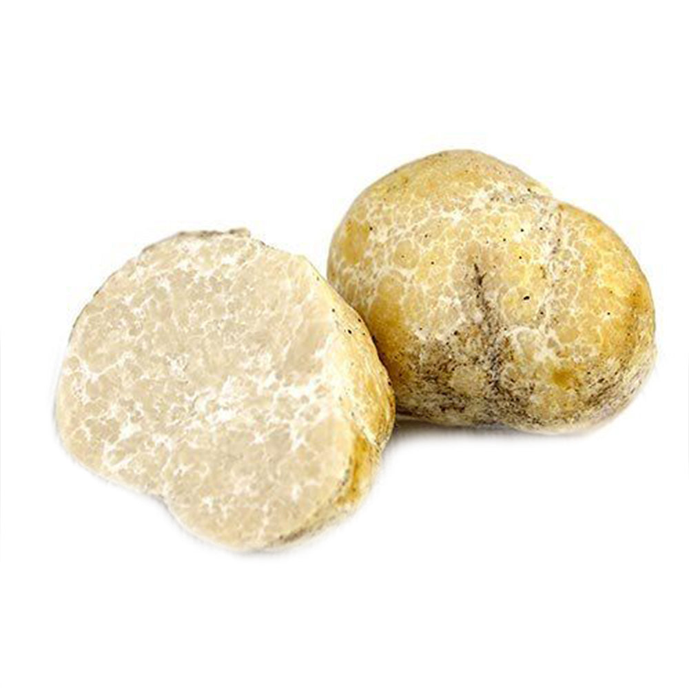 FRESH TRUFFLES – Trufo