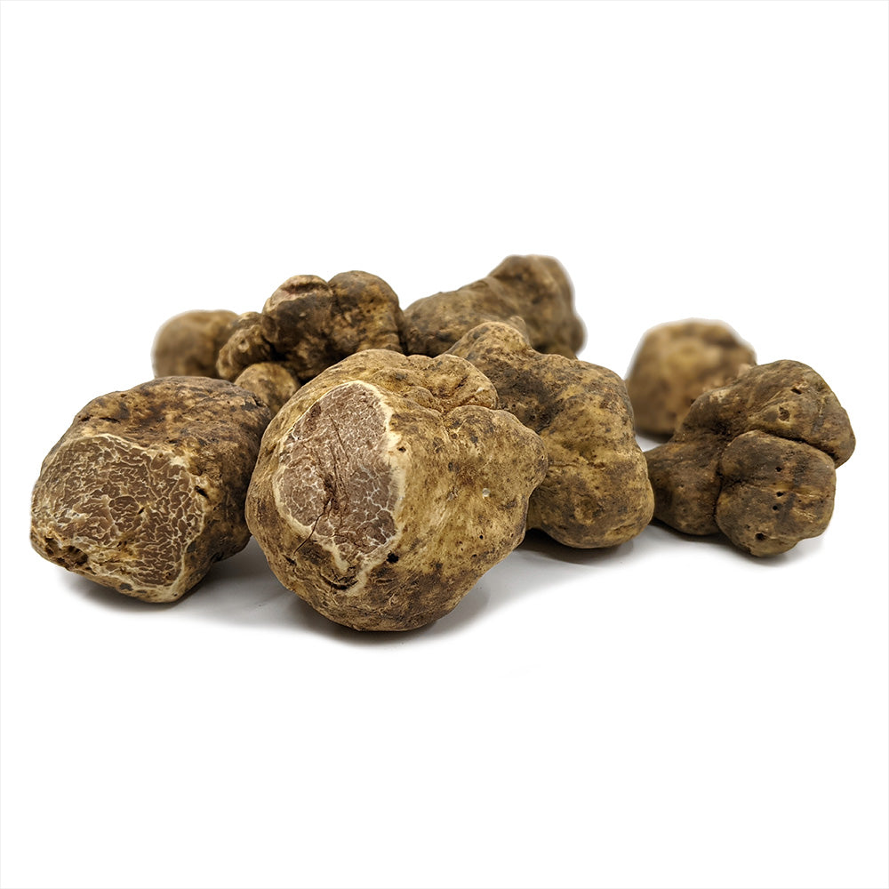 Truffe Blanche