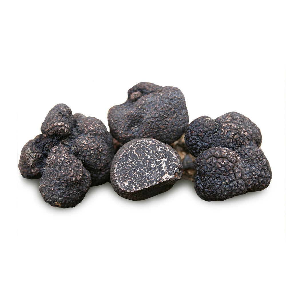 Perigord Black Truffle (Tuber melanosporum) – Trufo