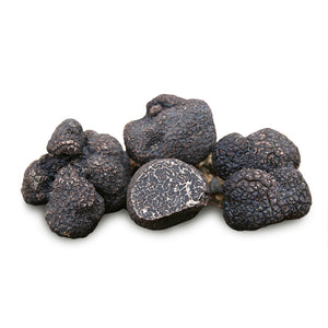 Perigord Black Truffle (Tuber melanosporum)
