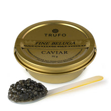 Load image into Gallery viewer, Fine Beluga Caviar (Huso huso)